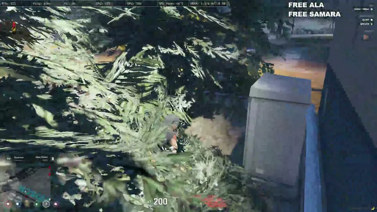 Azizos_chafchaa