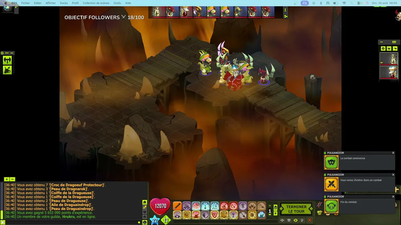 Ddpulga live