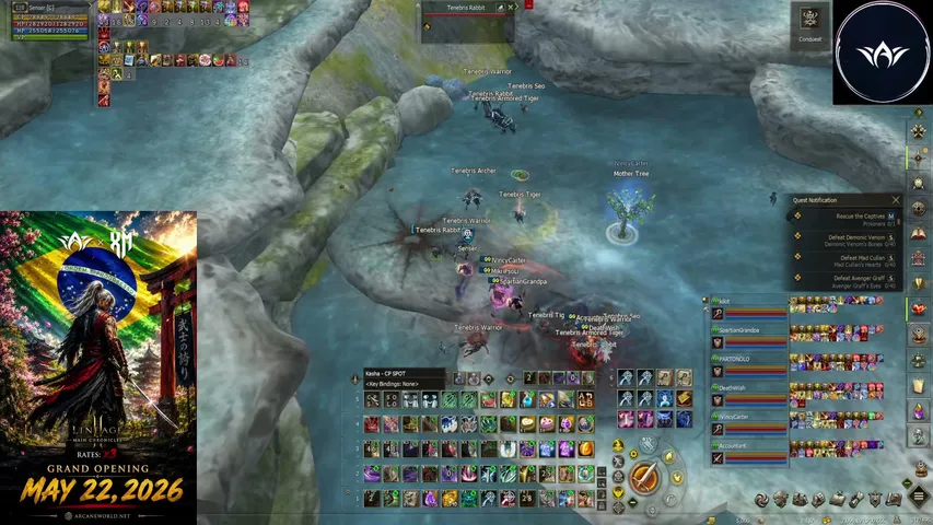 sensertv Lineage 2 stream image