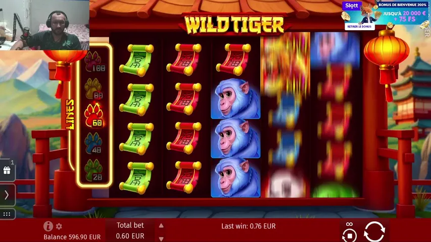 blimeydog-kari playing Slots & Casino - Live Casino Stream