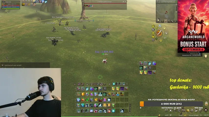 meow-stream Lineage 2 stream image