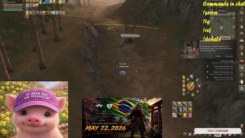 meow-stream Lineage 2 stream image