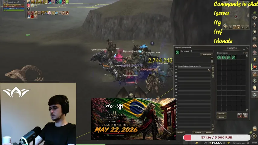 meow-stream Lineage 2 stream image
