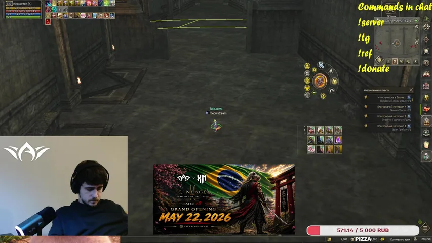 meow-stream Lineage 2 stream image