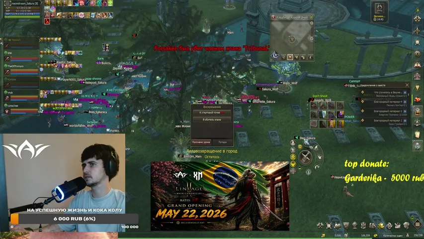 meow-stream Lineage 2 stream image