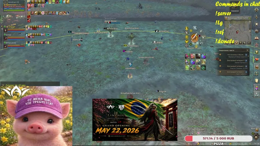 meow-stream Lineage 2 stream image