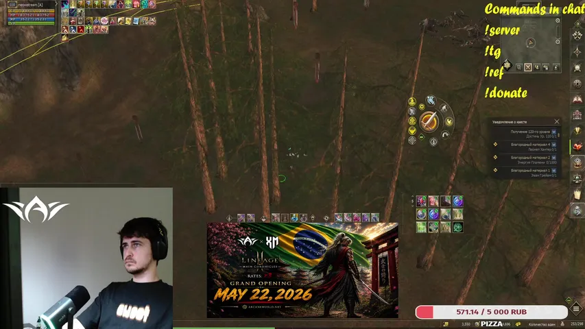 meow-stream Lineage 2 stream image