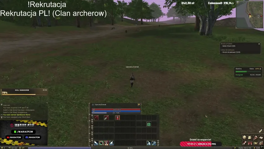 wariatp2w Lineage 2 stream image
