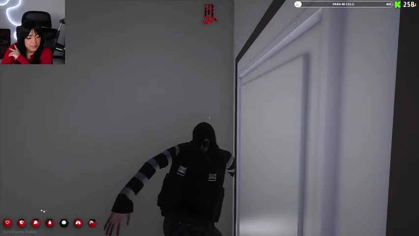 FACE REVEAL? - TEAM ZV - 12h | !redes