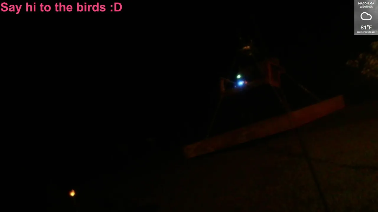 Birdfeedercam live