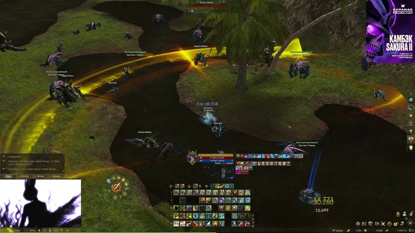 satyrtears Lineage 2 stream image
