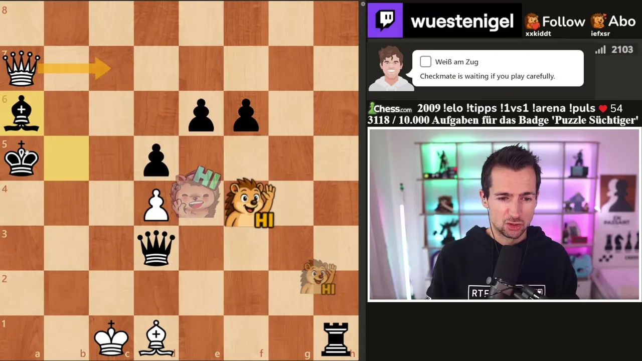 WuestenigelTV