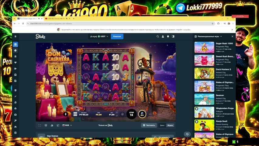 loki666999 playing Slots & Casino - Live Casino Stream