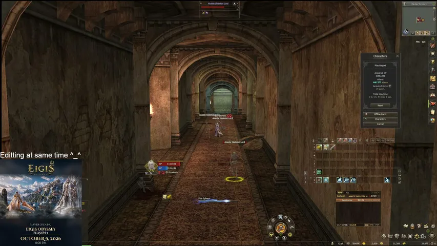 wshadows Lineage 2 stream image
