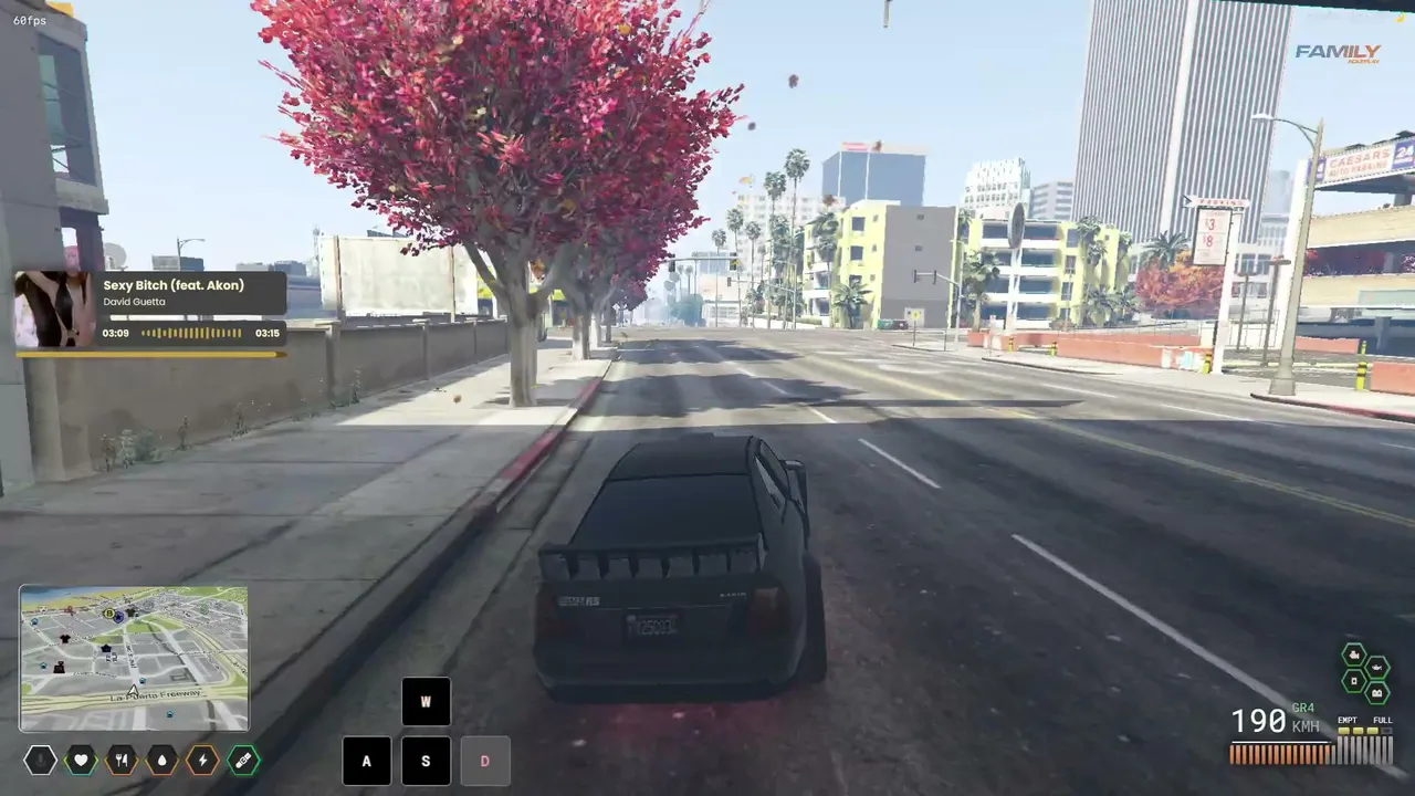 DYLAN_2927 live
