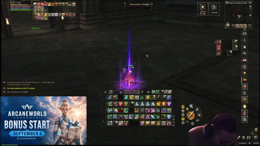 daniieus Lineage 2 stream image