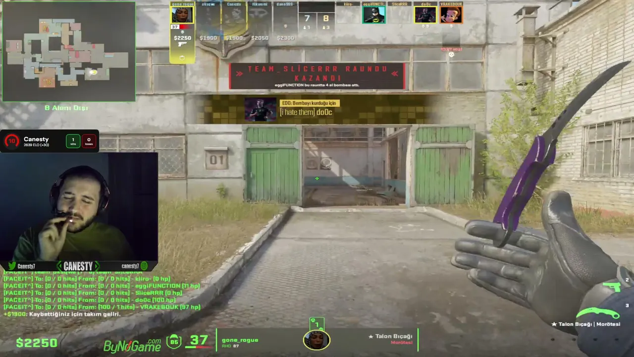 Canesty live stream