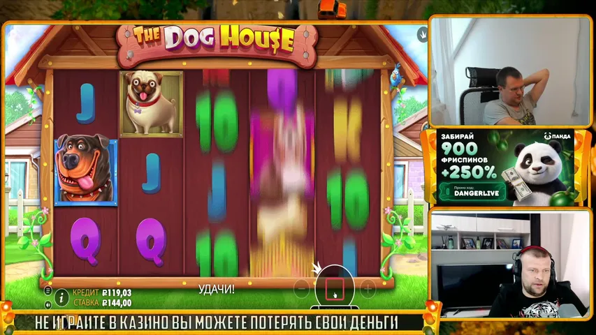 dangerlive playing Slots & Casino - Live Casino Stream