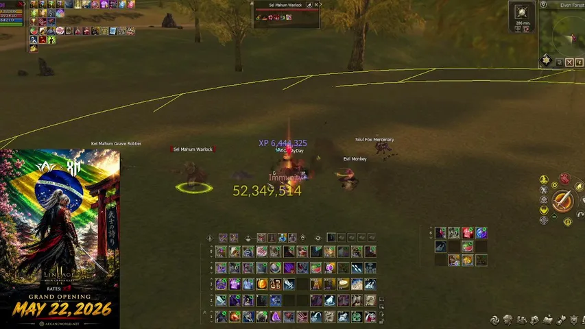 diaoculto Lineage 2 stream image