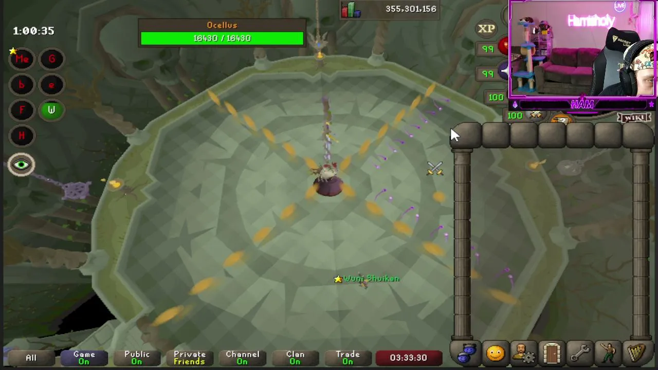 Hamisholy live