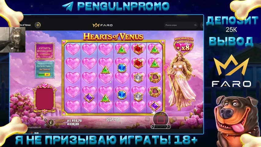 penguin-casino playing Slots & Casino - Live Casino Stream
