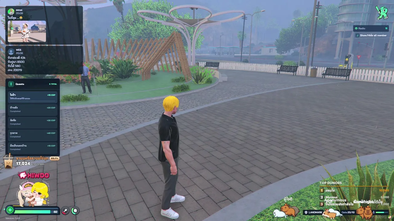 Teddytoyy live stream
