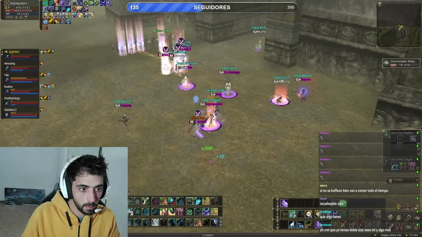 hoshiningenl2 Lineage 2 stream image