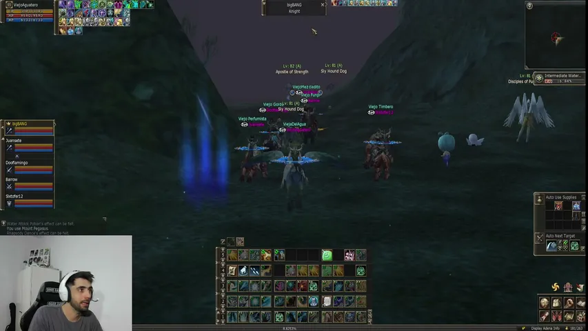 hoshiningenl2 Lineage 2 stream image
