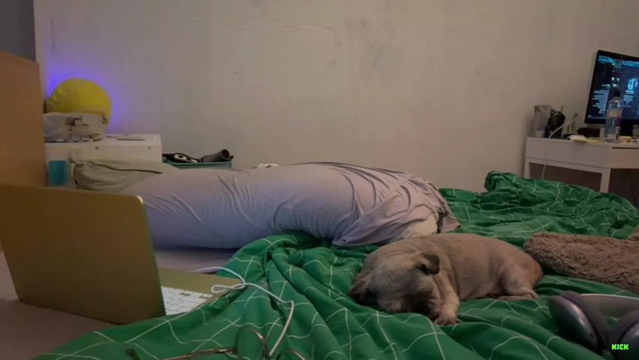 3d_gawd live