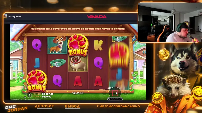 Dmcjordan playing Slots & Casino - Live Casino Stream