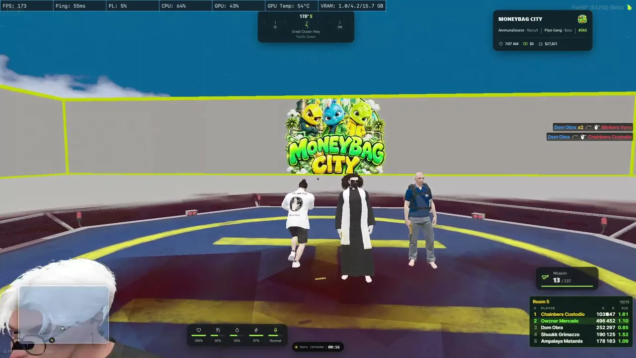 OWZNERR live stream