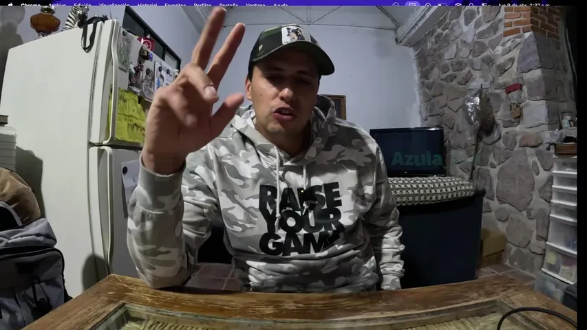 LOS MEJORES BICHOS PARA MASCOTA / davidassad