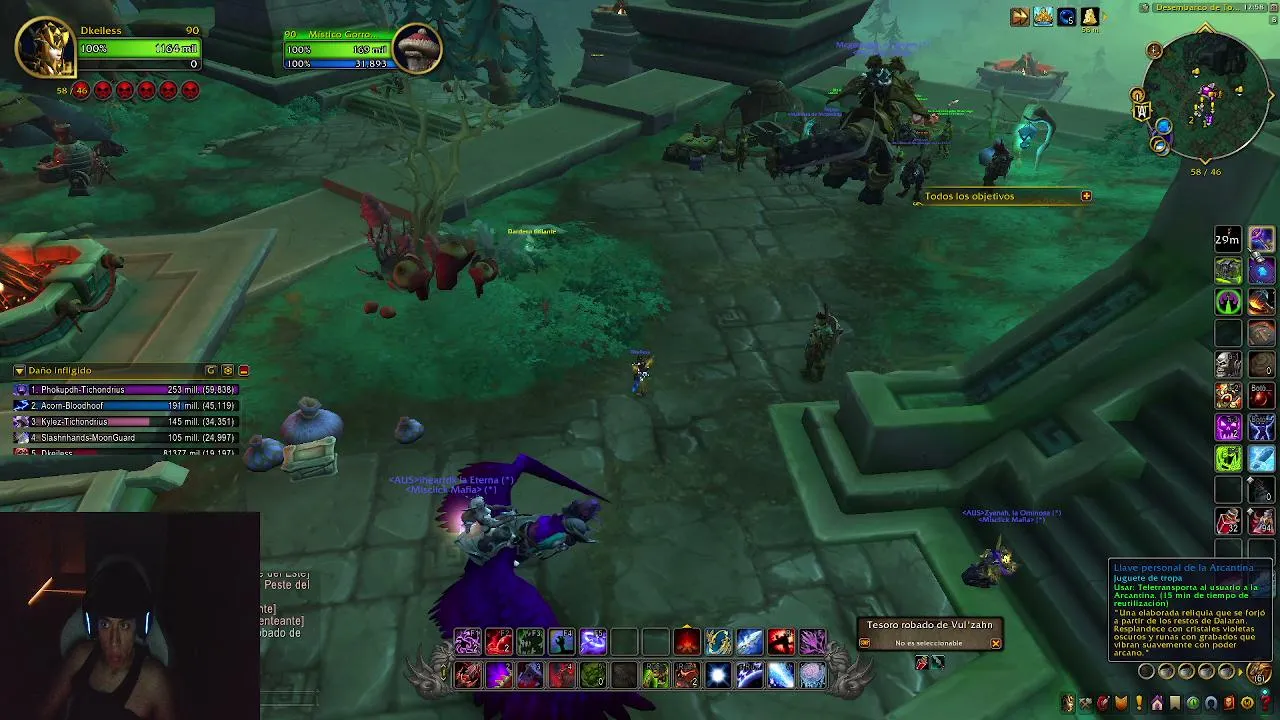 Gazelle_F live