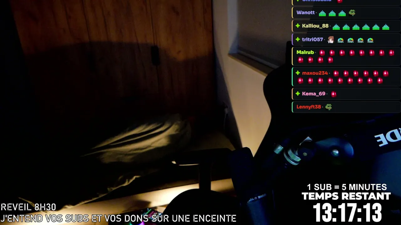 PuniEnLive live