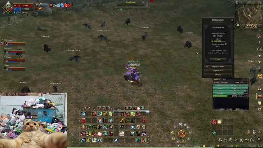 pewik Lineage 2 stream image