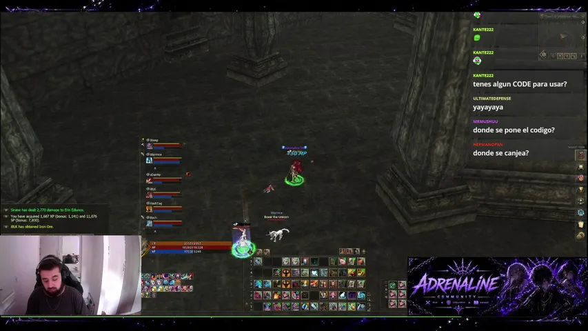 xsirvine Lineage 2 stream image