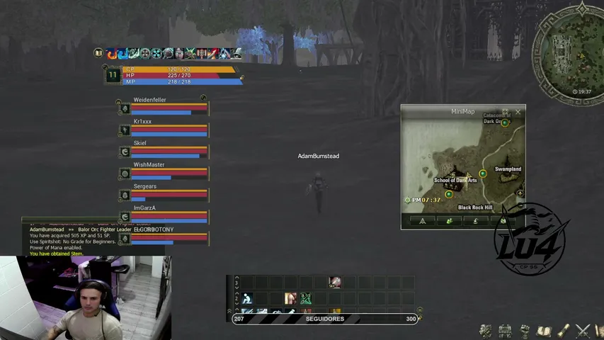 luciannssj Lineage 2 stream image