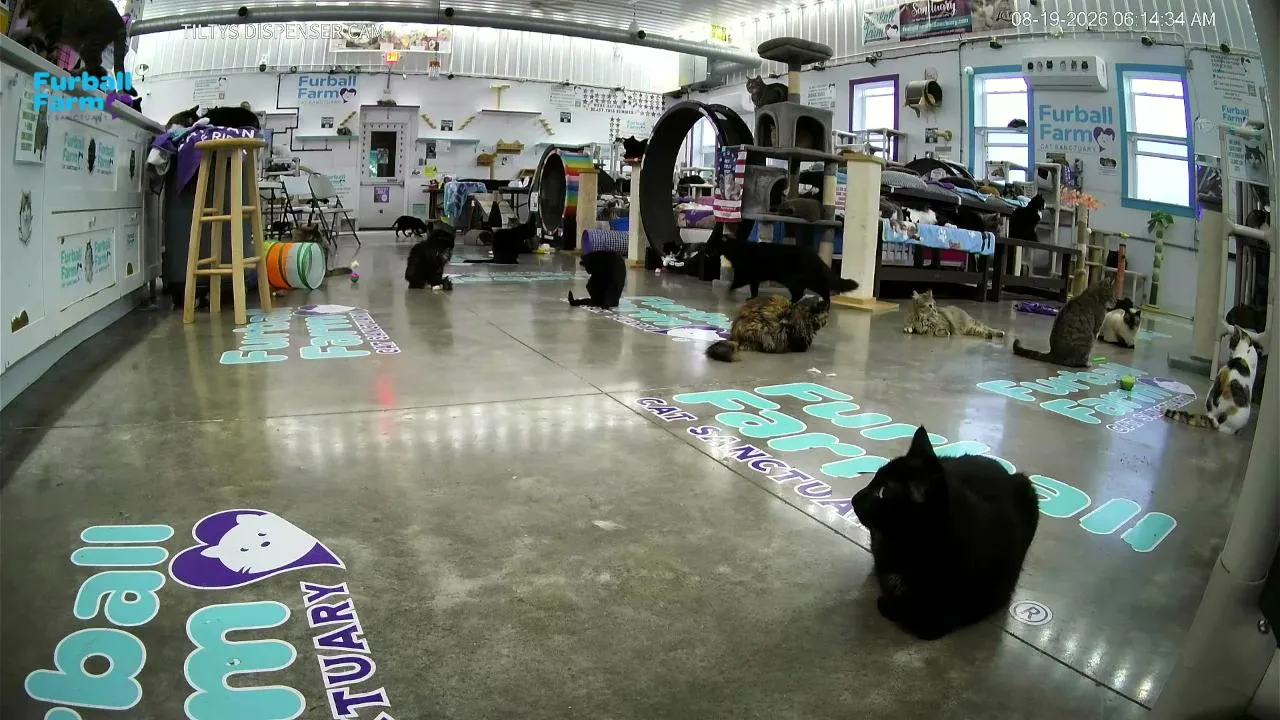 Furball_farm