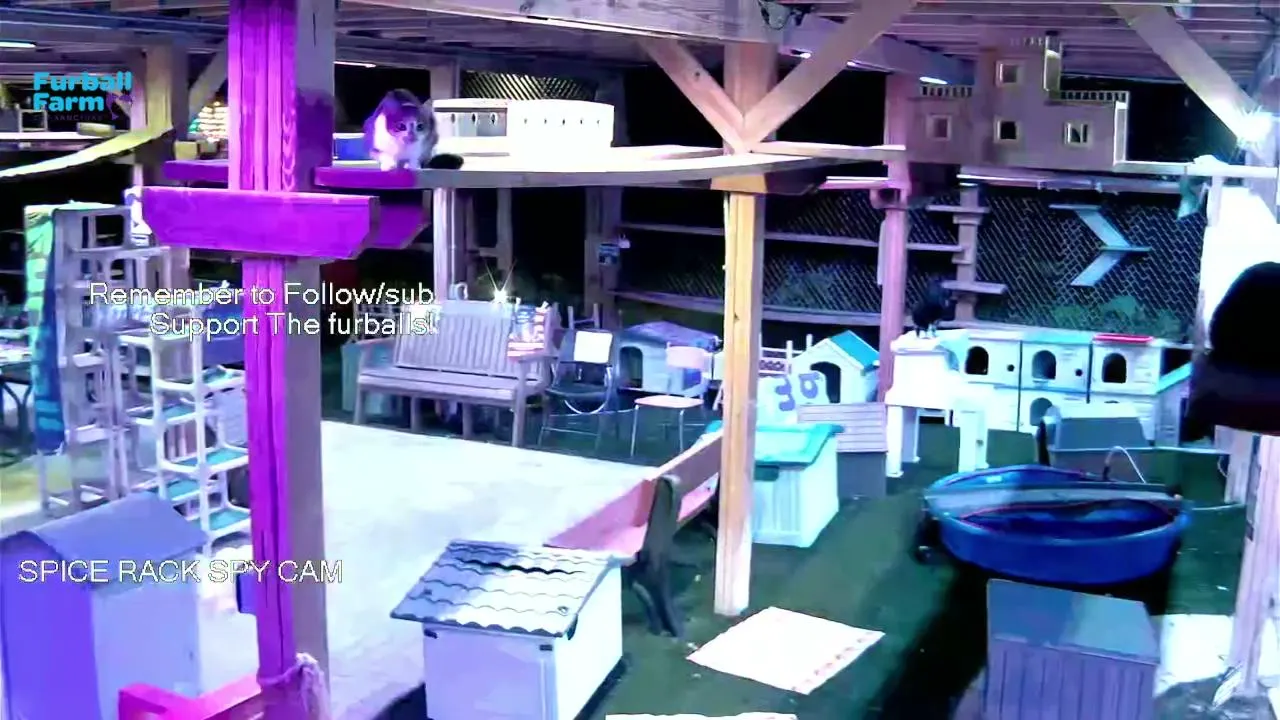 Furball_farm