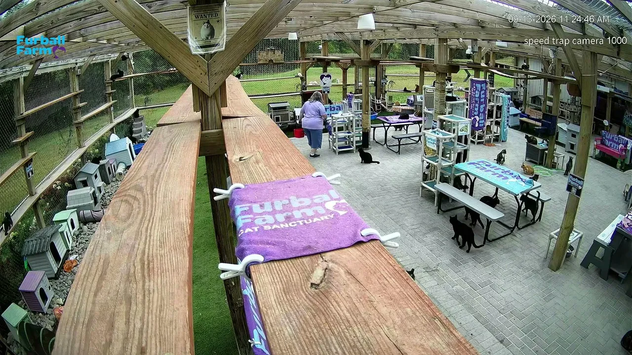 Furball_farm