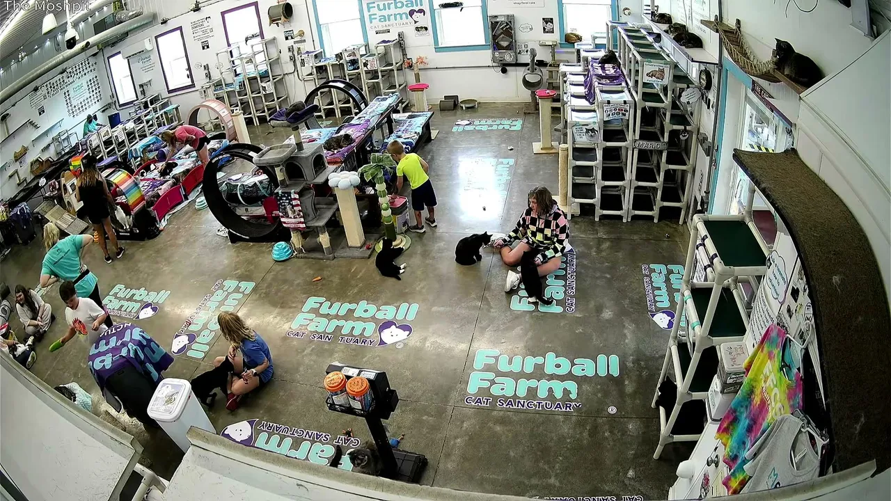 Furball_farm