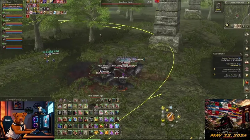 zaayket Lineage 2 stream image