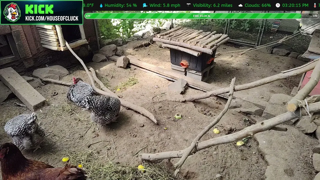 HouseofCluck