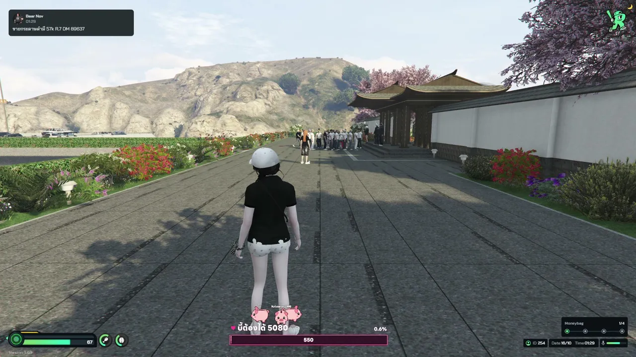 nariszx live stream