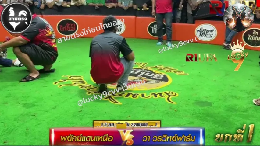 mahaleawnakub