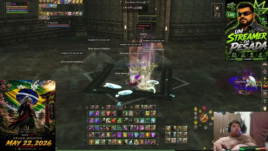 gordaogd Lineage 2 stream image