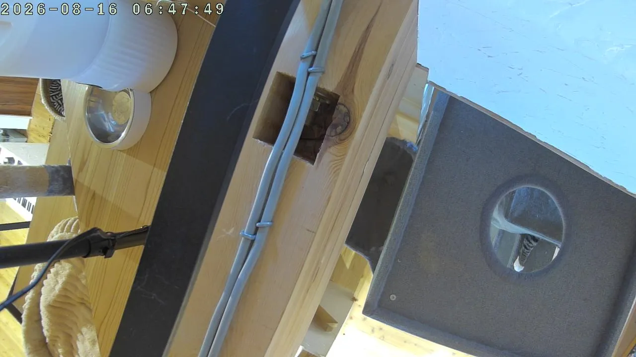 KokoroCam live