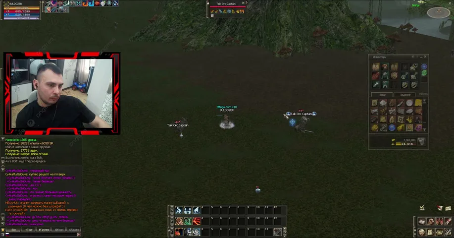 buldozer-tm Lineage 2 stream image