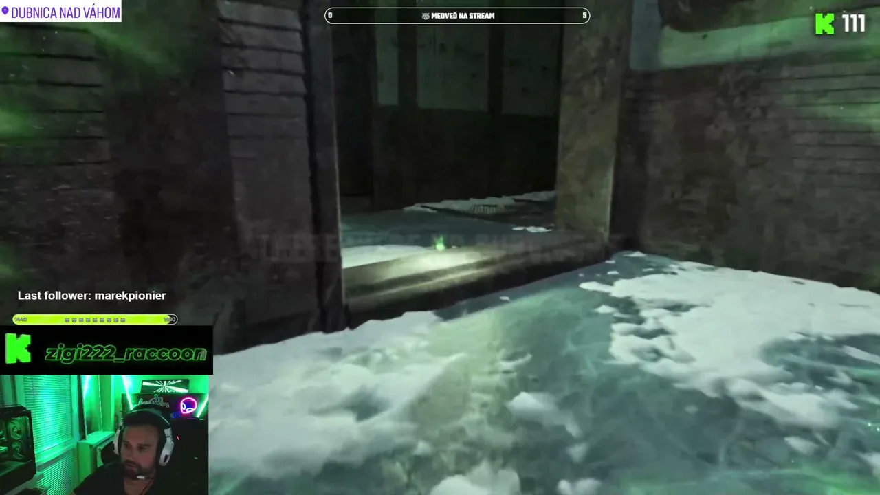 zigi222_raccoon live