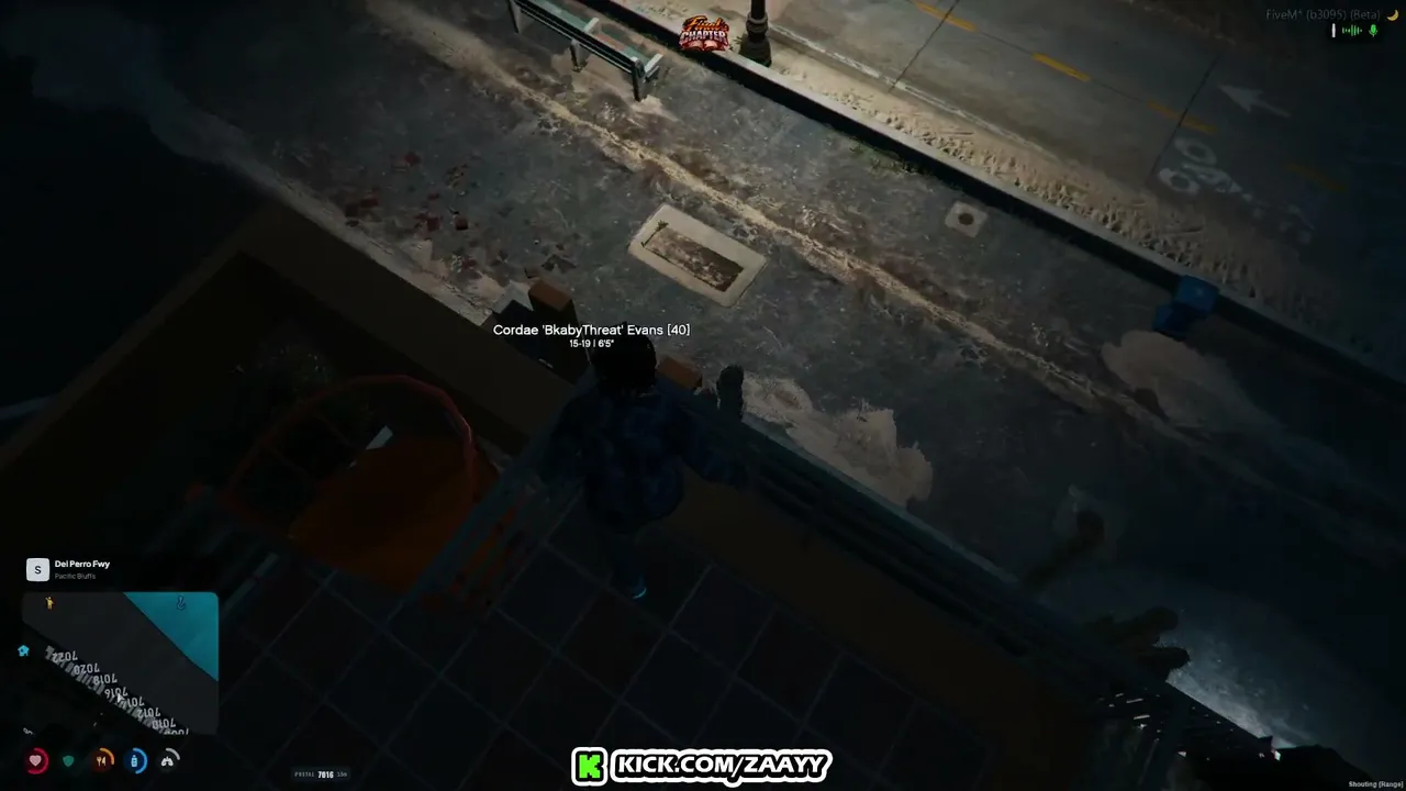 zaayy live stream